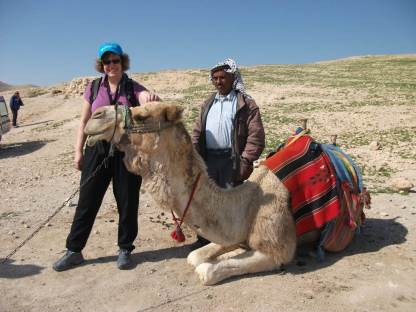 Wadi Qelt Camel