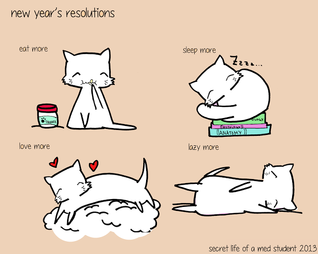 from http://www.secretlifeofamedstudent.com/2013/12/new-years-resolutions.html